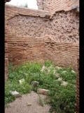 06882 ostia - regio i - insula ix - caseggiato del larario (i,ix,3) - raum 24 - bli ri nordosten - 09.2022.jpg